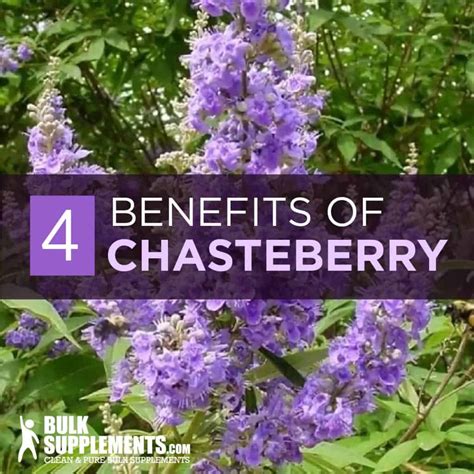 Chasteberry Extract. Regulate Hormones for。